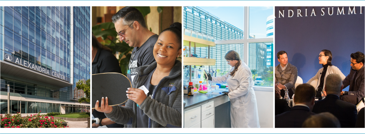 Our Strategic & Integrated Verticals